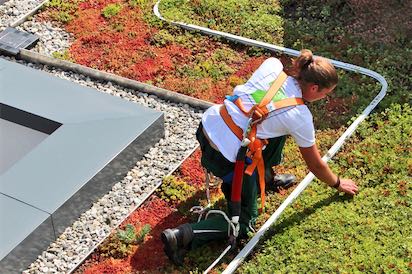 Dachgärtnerin mit Absturzsicherung